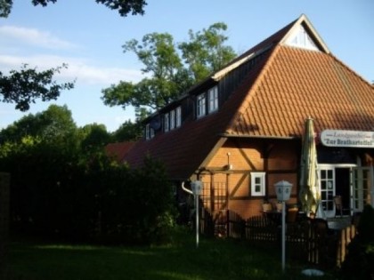 照片: Zur Bratkartoffel